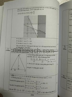 Tuyển chọn và hướng dẫn giải đề thi học sinh giỏi Toán 10 năm 2024 (miễn phí giao hàng)