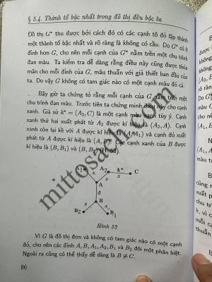 Định lý và vấn đề về Đồ Thị Hữu Hạn - Vũ Đình Hòa