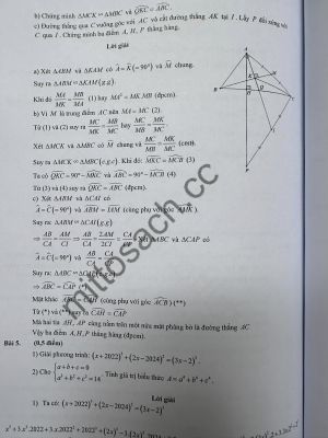 Tuyển tập 169 đề kiểm tra định kỳ toán 8 (Sách kết nối tri thức - miễn phí giao hàng)