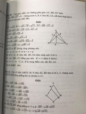 Chuyên đề bồi dưỡng Toán - Véc tơ - Lê Hữu Dũng