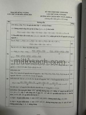 Tuyển chọn và hướng dẫn giải đề thi học sinh giỏi Toán 10 năm 2024 (miễn phí giao hàng)