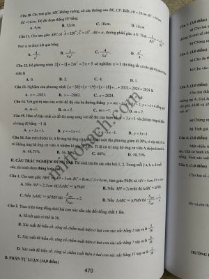 Tuyển chọn và hướng dẫn giải 123 đề thi học sinh giỏi Toán 8 chương trình mơi 2023-2024