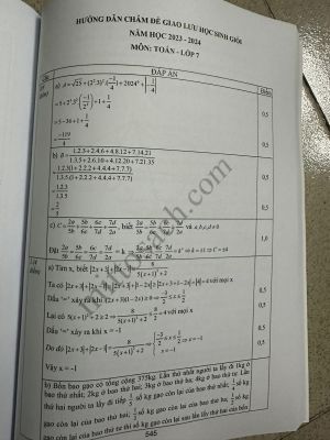 Tuyển chọn và hướng dẫn giải 123 đề thi học sinh giỏi Toán 7 năm 2023-2024