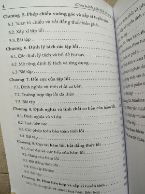 GIÁO TRÌNH GIẢI TÍCH LỒI ỨNG DỤNG - Nguyễn Hữu Điển
