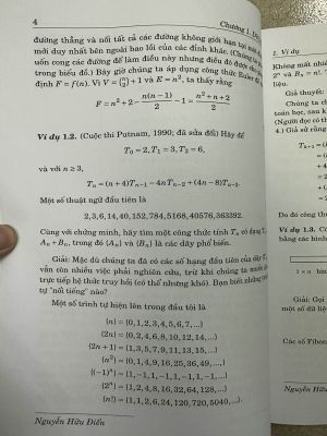 NHỮNG NGUYÊN TẮC GIẢI BÀI TẬP TOÁN - Martin J. Ericson Joe Flowers - Nguyễn Hữu Điển dịch
