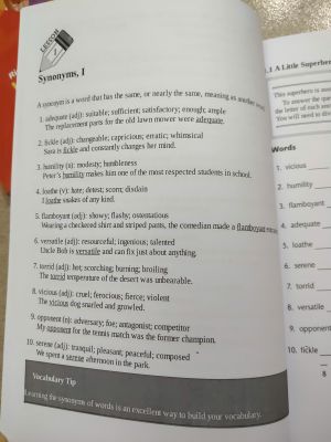 MASTERING VOCABULARY - THE MOST TRUSTED NAME IN EDUCATION