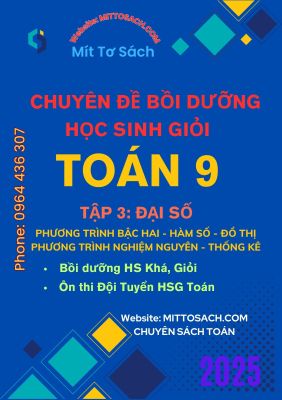 Bồi dưỡng HSG TOÁN 9 - Tập 3 - Đại số - Phương trình bậc hai, hàm số, đồ thị - Phương trình nghiệm nguyên - Thống kê (miễn phí giao hàng)